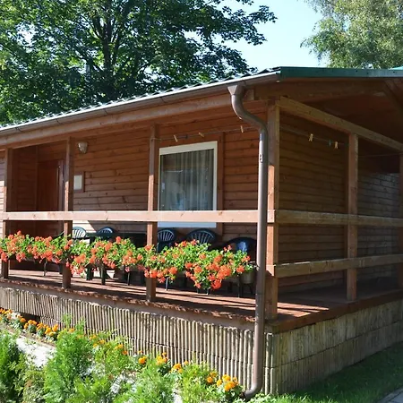 Róża Wiatrów * Chłapowo