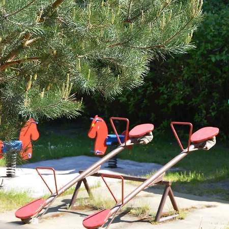 Roza Wiatrow Chłapowo