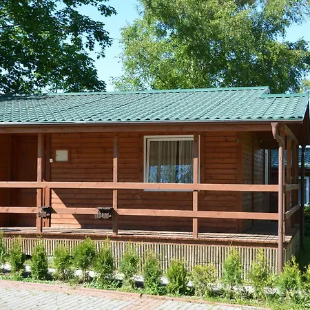 Roza Wiatrow Chłapowo