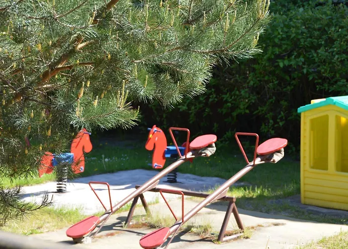 Roza Wiatrow Chłapowo