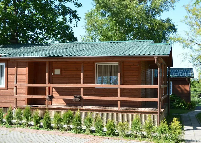 Roza Wiatrow Chłapowo